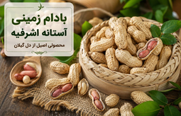 بادام زمینی آستانه اشرفیه چیست ؟