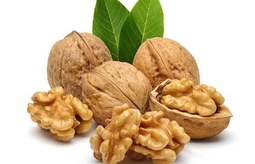 راز خوشمزگی فسنجان با گردوی مرغوب