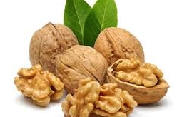 چگونه گردوی تازه و باکیفیت را تشخیص دهیم؟ راهنمای خرید گردوی مرغوب