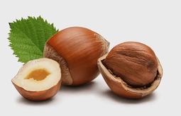 ویژگی‌های یک فندق مرغوب و تازه چیست؟
