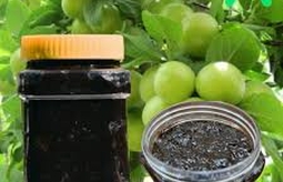 روش نگهداری رب آلوچه برای حفظ کیفیت و طعم