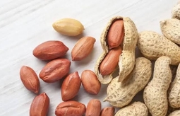 کاربرد بادام زمینی در آشپزی و شیرینی‌پزی