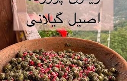 زیتون پرورده با گردو بهتر است یا بدون گردو؟ 