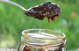 رب آلوچه شمال چگونه تهيه مي شود ؟