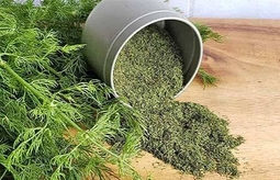 روش تشخیص شوید خشک اصل و مرغوب از تقلبی