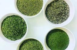 چگونه سبزی خشک اصل و باکیفیت را تشخیص دهیم؟