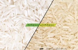 تفاوت برنج هاشمی و طارم؛ کدام خوش‌پخت‌تر است؟