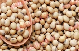 سویا بوداده با طعم‌های مختلف؛ کدام را انتخاب کنیم؟