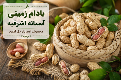 بادام زمینی آستانه اشرفیه چیست ؟