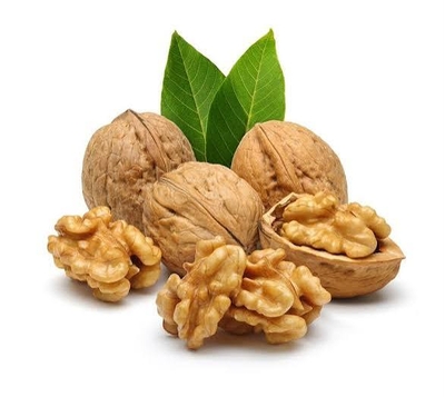 راز خوشمزگی فسنجان با گردوی مرغوب