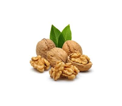 چگونه گردوی تازه و باکیفیت را تشخیص دهیم؟ راهنمای خرید گردوی مرغوب