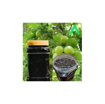 روش نگهداری رب آلوچه برای حفظ کیفیت و طعم