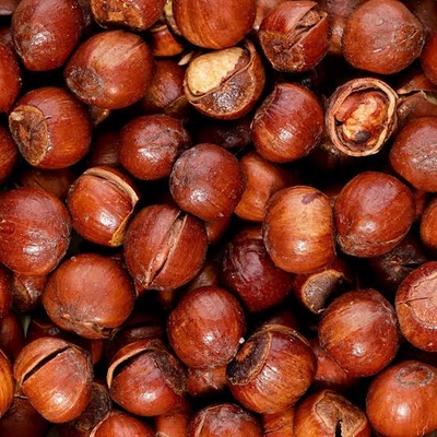 بهترین روش نگهداری فندق برای حفظ تازگی و کیفیت