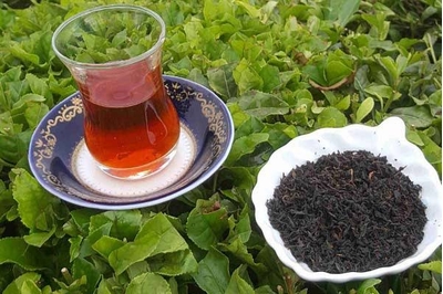 تفاوت چای شمال با چای خارجی چیست؟ چرا چای ایرانی محبوب‌تر شده است؟