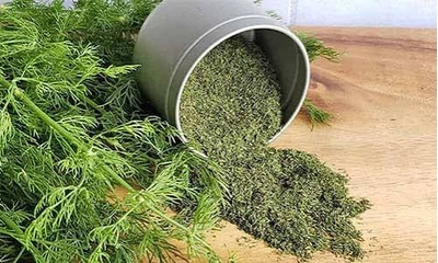 روش تشخیص شوید خشک اصل و مرغوب از تقلبی