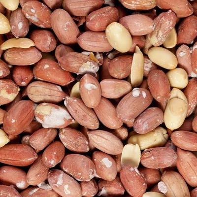 چگونه بادام زمینی تازه و مرغوب را تشخیص دهیم؟
