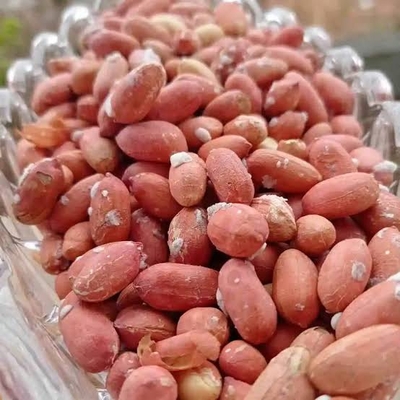 بهترین روش نگهداری بادام زمینی برای حفظ تازگی و جلوگیری از کپک
