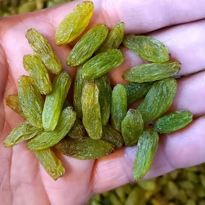 چگونه کشمش تازه و باکیفیت را تشخیص دهیم؟