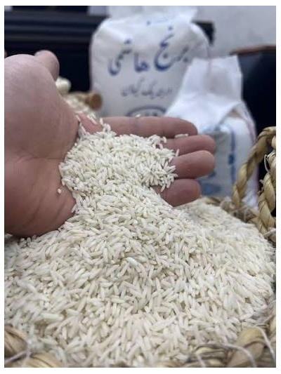 راهنمای تشخیص برنج شمال اصل از برنج تقلبی