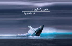 هامفری نهنگ گوژپشت