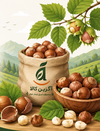 فندق اشکورات 