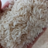 برنج شیرودی گیلان (اقتصادی) 10 کیلویی 