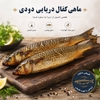 ماهی کفال دریایی دودی 350 گرم 