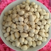 بادام زمینی روکش دار آستانه اشرفیه | تازه و با طعم سرکه | 500 گرمی  