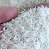برنج هاشمي ممتاز 5 كيلويي 