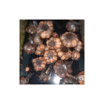 سیر ترشی تضمینی  2 کیلویی 