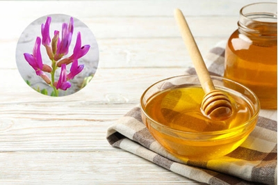 عسل گون دیلمان یک کیلویی 