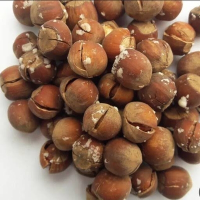 فندق برشته شكسته نمكي تازه يك كيلويي 