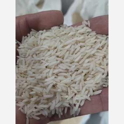 برنج طارم عطری آستانه اشرفیه 