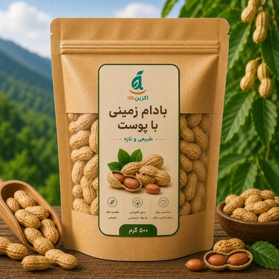 بادام زمینی با پوست 500 گرمی 