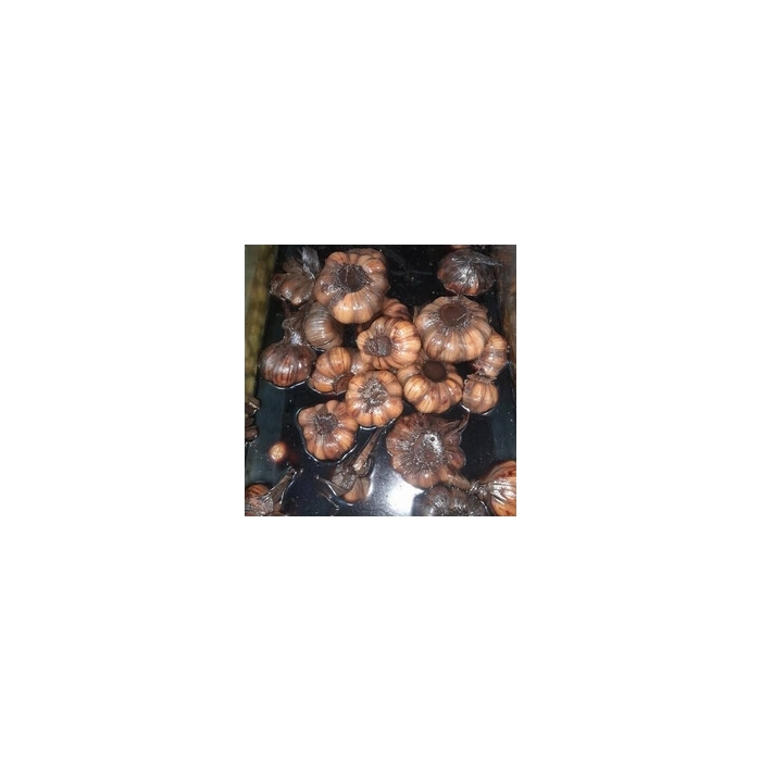 سیر ترشی تضمینی  2 کیلویی 