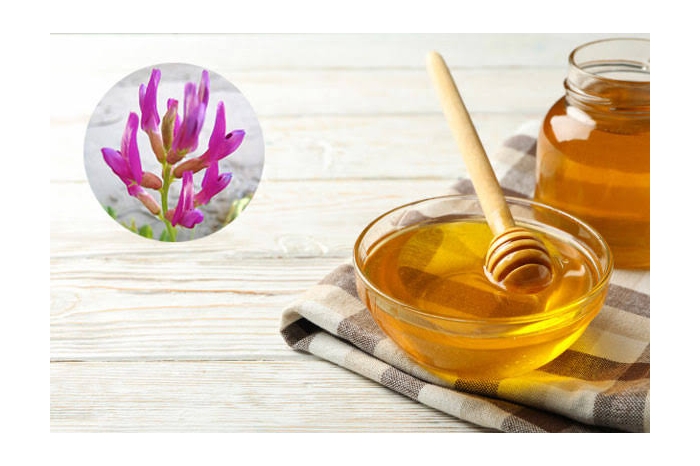 عسل گون دیلمان یک کیلویی 
