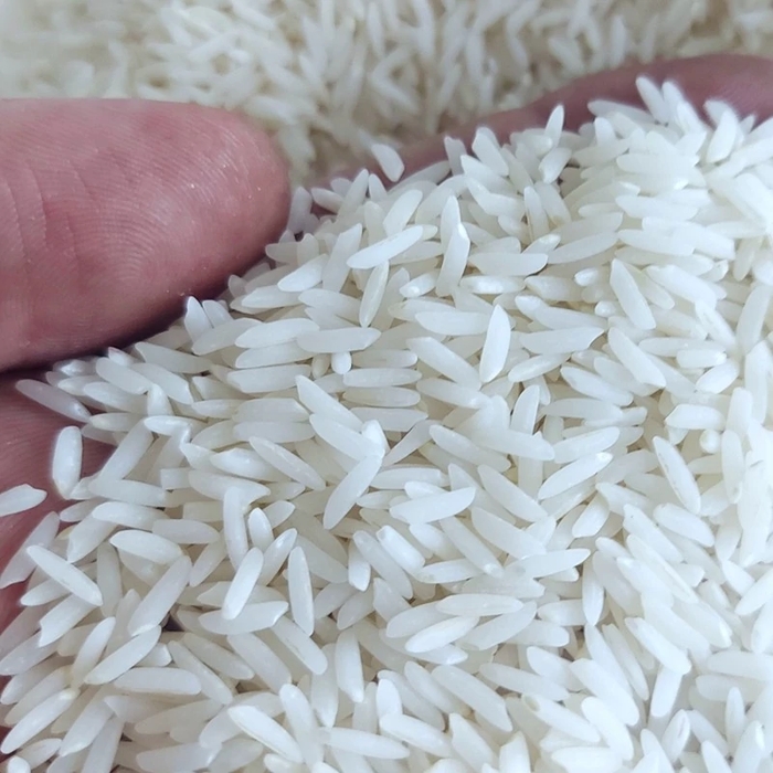 برنج سرلاشه هاشمی درشت اعلا 10 کیلویی 