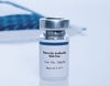 Penta·His Antibody, BSA-free