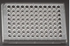 پلیت کشت سلولی 96 خانه