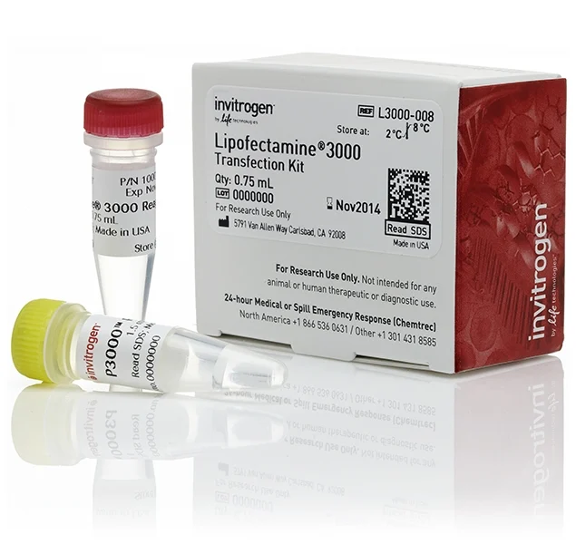 Lipofectamine™ 3000 Transfection Reagent
