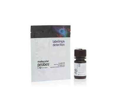 Hoechst 33342, Trihydrochloride, Trihydrate