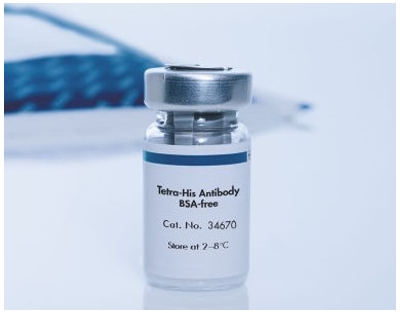 Penta·His Antibody, BSA-free