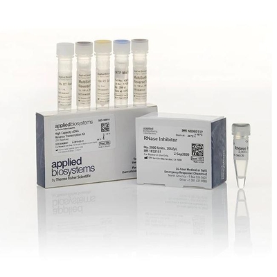 MultiScribe™ Reverse Transcriptase