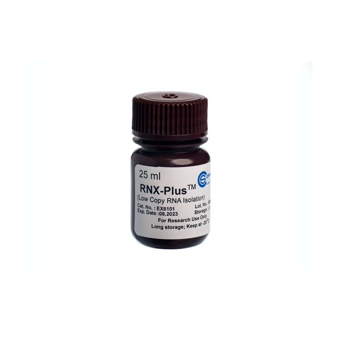  RNX plus سیناکلون (25ml)