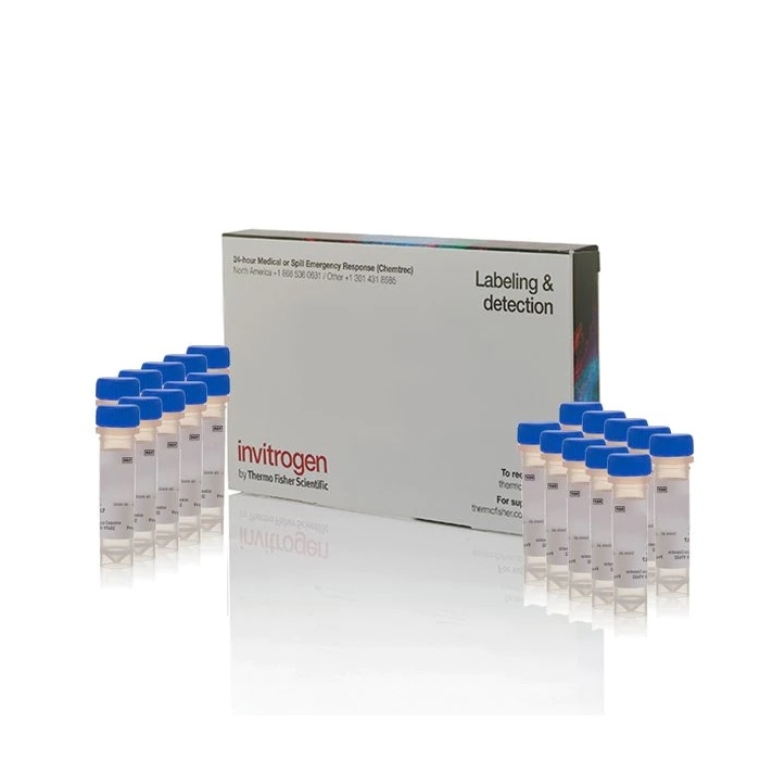 Invitrogen™ CellTracker™ Deep Red Dye