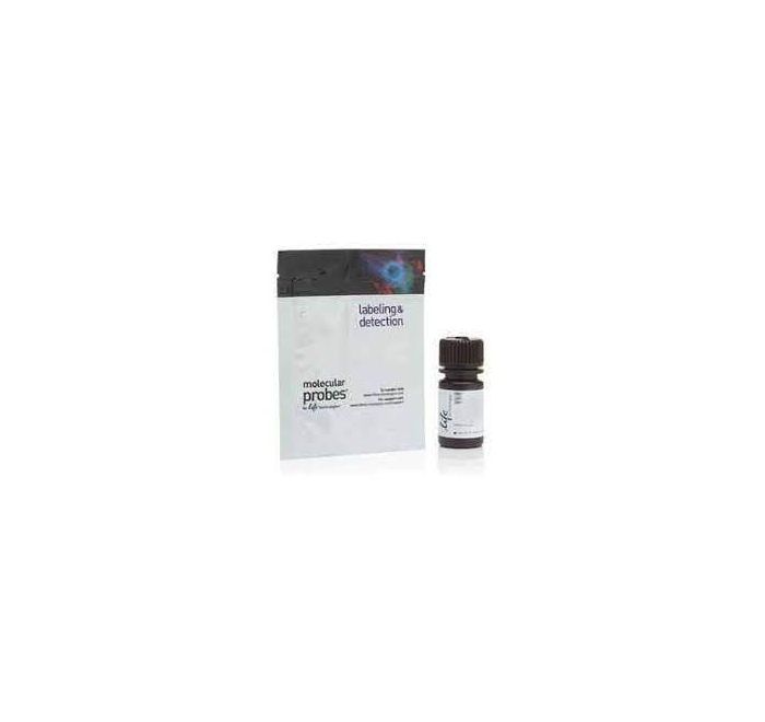 Hoechst 33342, Trihydrochloride, Trihydrate
