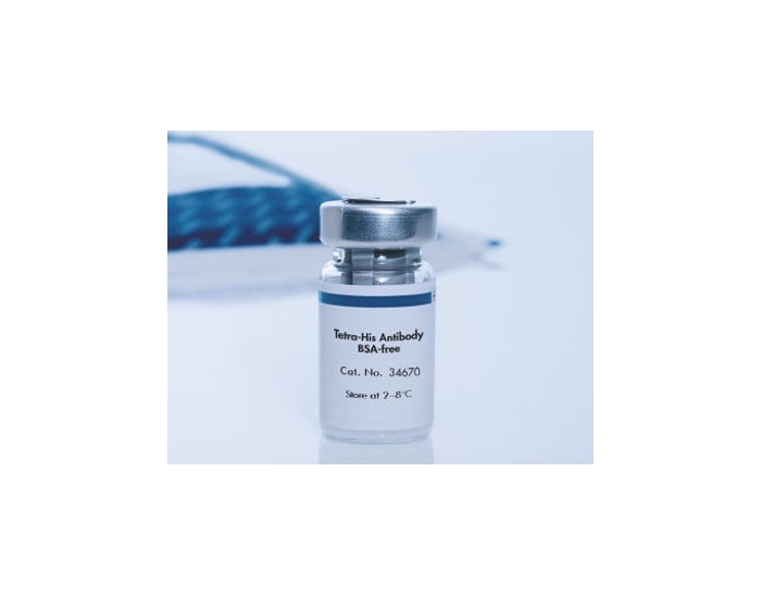 Penta·His Antibody, BSA-free