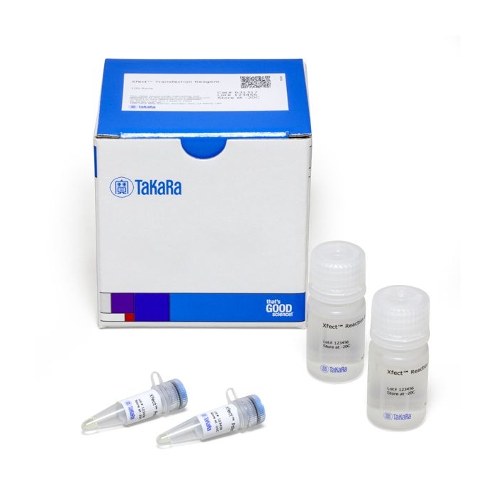 X -fect reagents for mi-rna transfection