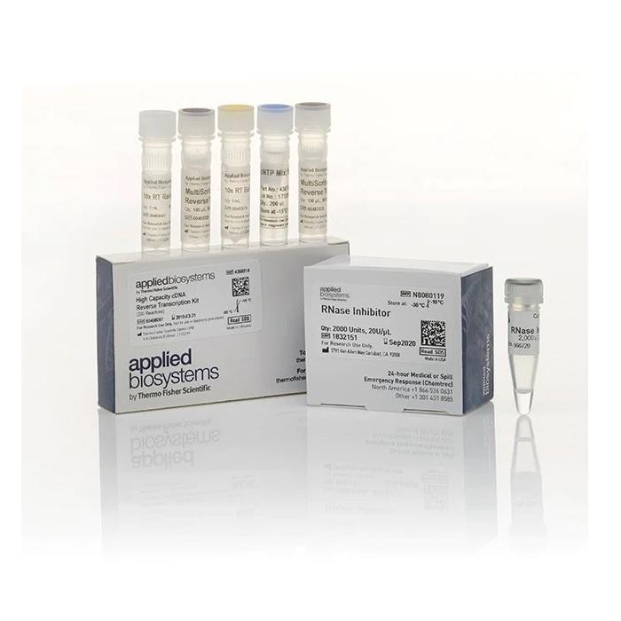 MultiScribe™ Reverse Transcriptase