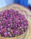 غنچه گل محمدی لاله زار